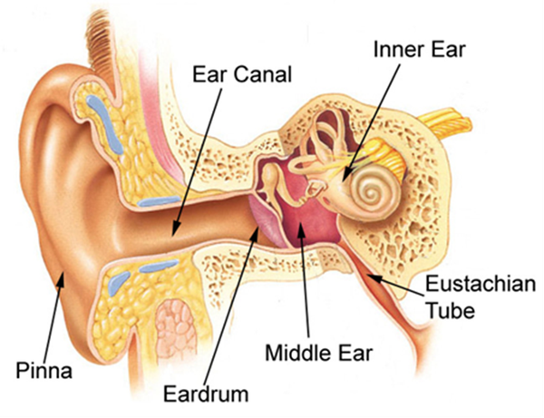 can you use a leaf blower with eusphatian tube dysfunction